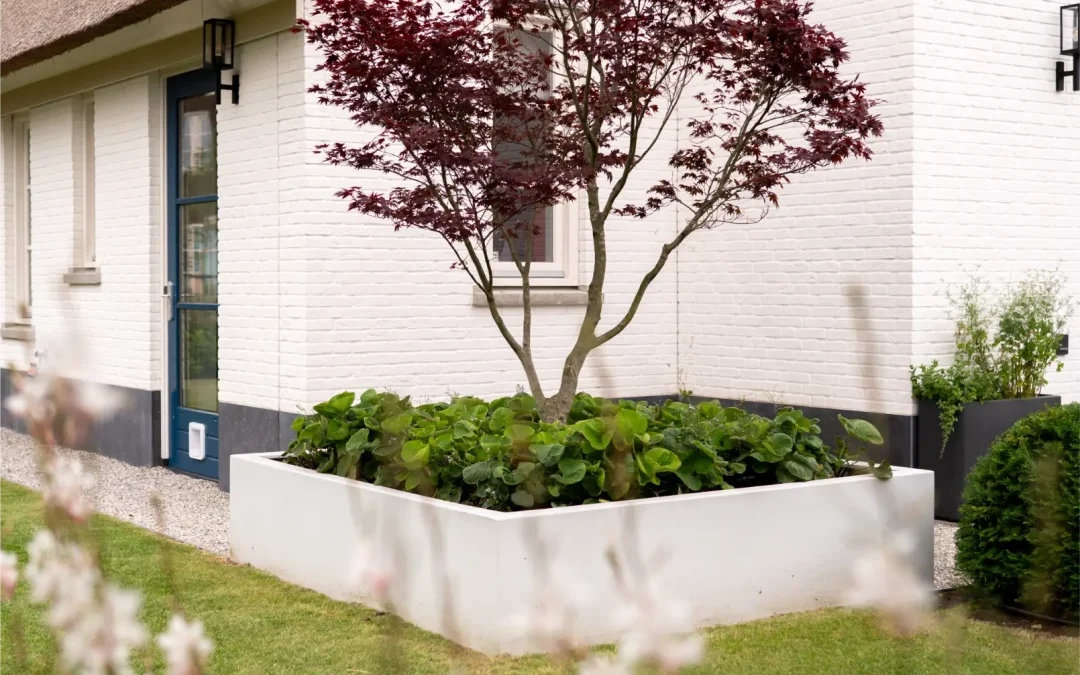 Tuin met veranda