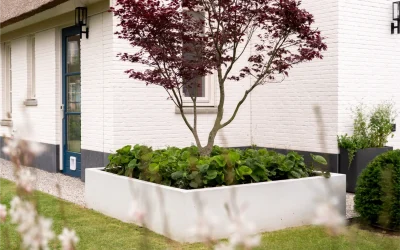 Tuin met veranda